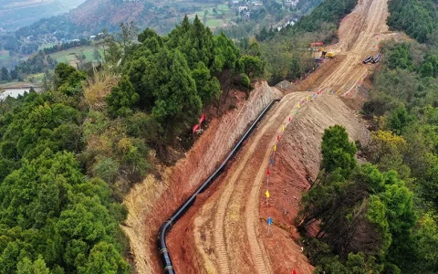 20240921084103099884